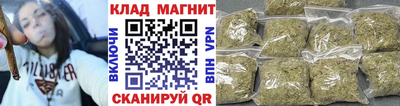 Где можно купить наркотики Чудово гидра как войти  Псилоцибиновые грибы  ГАШ  Каннабис 