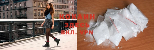 шишки Аркадак