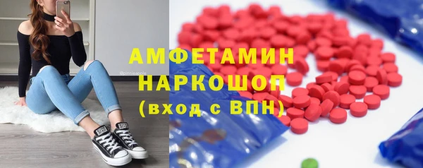 шишки Аркадак