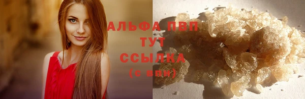шишки Аркадак