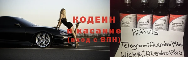 шишки Аркадак