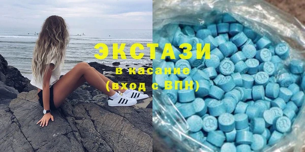 шишки Аркадак