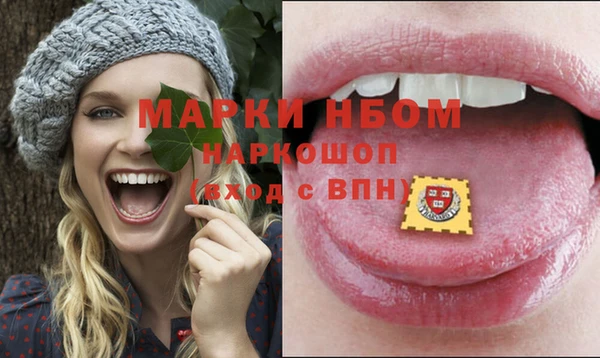 шишки Аркадак
