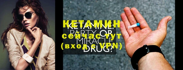 шишки Аркадак