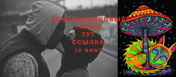 шишки Аркадак