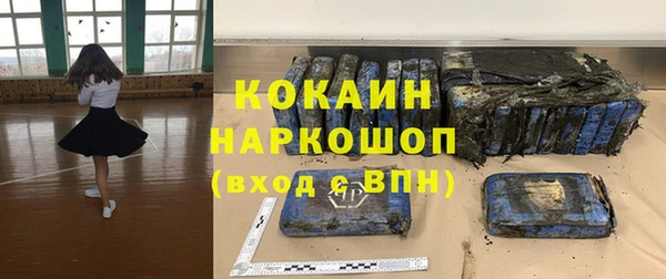 шишки Аркадак