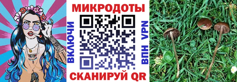 Галлюциногенные грибы Cubensis  Чудово 